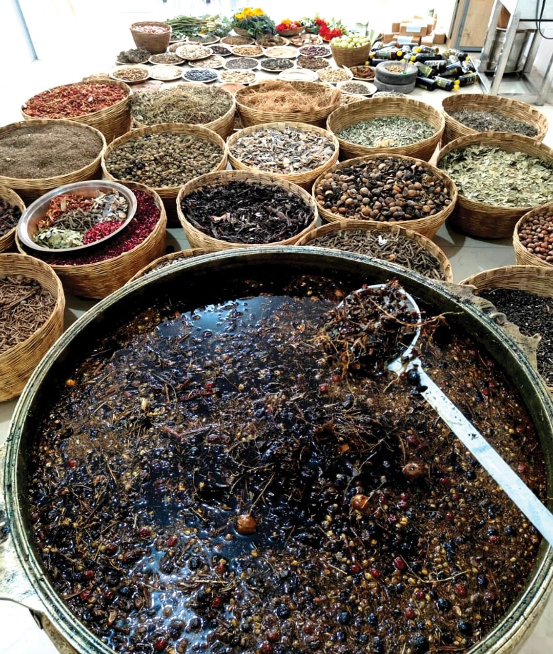 Adivasi Bringhamoolaka 100% Pure Ayurvedic Herbal Hair Oil🌿